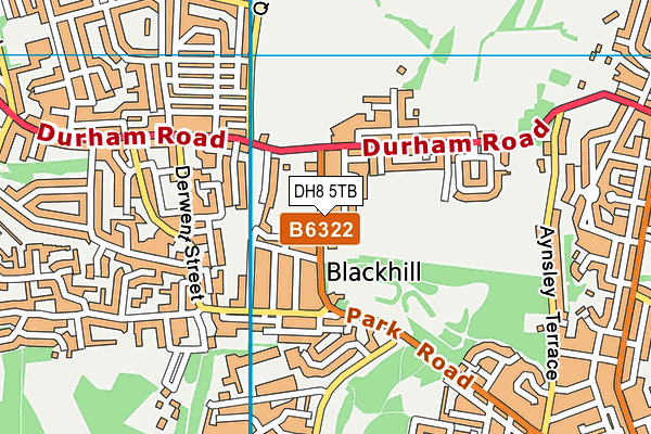 DH8 5TB map - OS VectorMap District (Ordnance Survey)