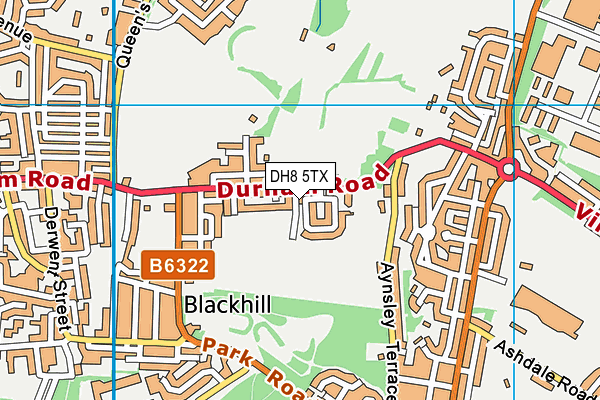 DH8 5TX map - OS VectorMap District (Ordnance Survey)
