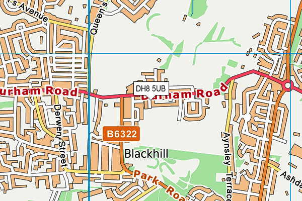 DH8 5UB map - OS VectorMap District (Ordnance Survey)