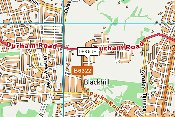 DH8 5UE map - OS VectorMap District (Ordnance Survey)