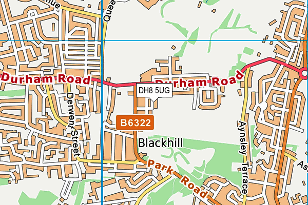 DH8 5UG map - OS VectorMap District (Ordnance Survey)