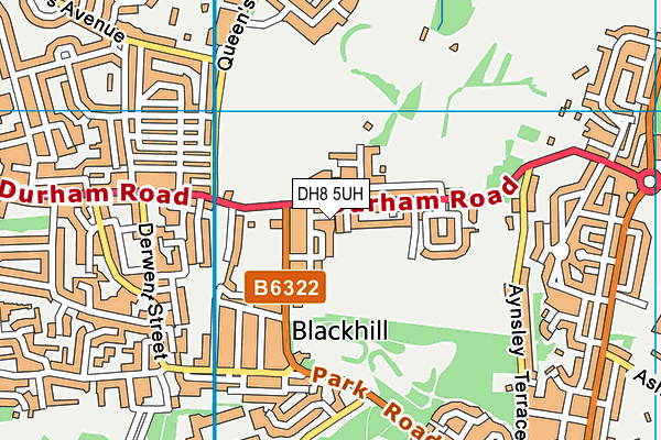 DH8 5UH map - OS VectorMap District (Ordnance Survey)