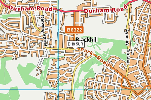 DH8 5UR map - OS VectorMap District (Ordnance Survey)