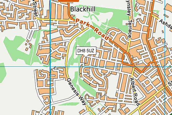 DH8 5UZ map - OS VectorMap District (Ordnance Survey)