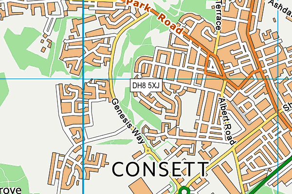 DH8 5XJ map - OS VectorMap District (Ordnance Survey)