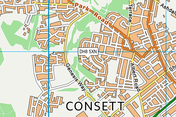 DH8 5XN map - OS VectorMap District (Ordnance Survey)