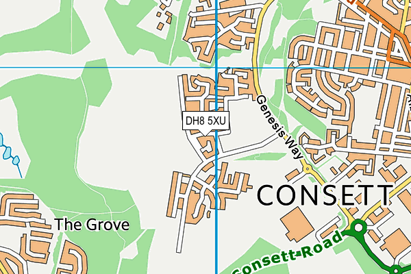 DH8 5XU map - OS VectorMap District (Ordnance Survey)