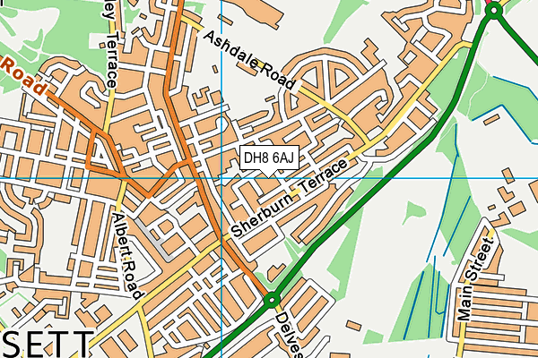 DH8 6AJ map - OS VectorMap District (Ordnance Survey)