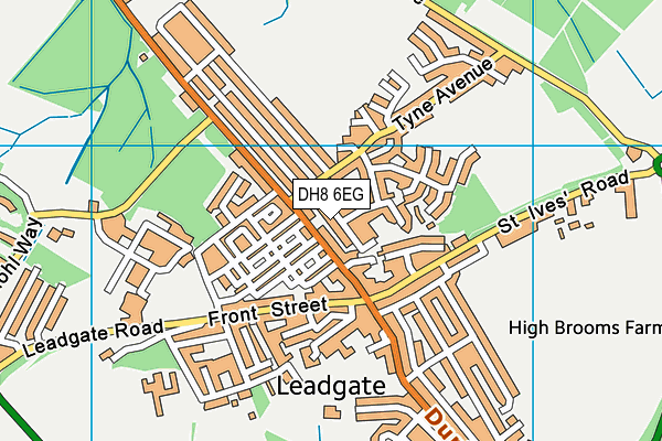 DH8 6EG map - OS VectorMap District (Ordnance Survey)