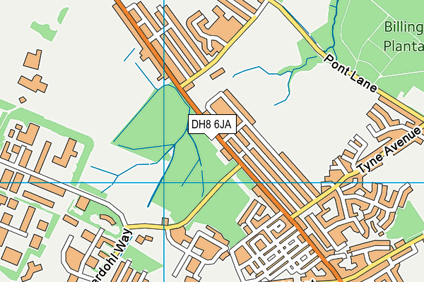 DH8 6JA map - OS VectorMap District (Ordnance Survey)