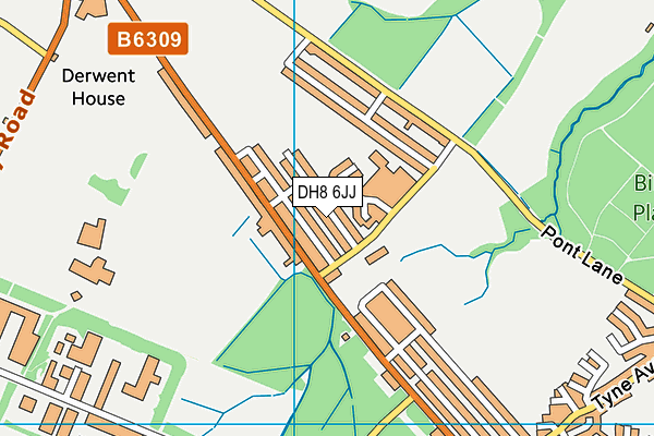 DH8 6JJ map - OS VectorMap District (Ordnance Survey)
