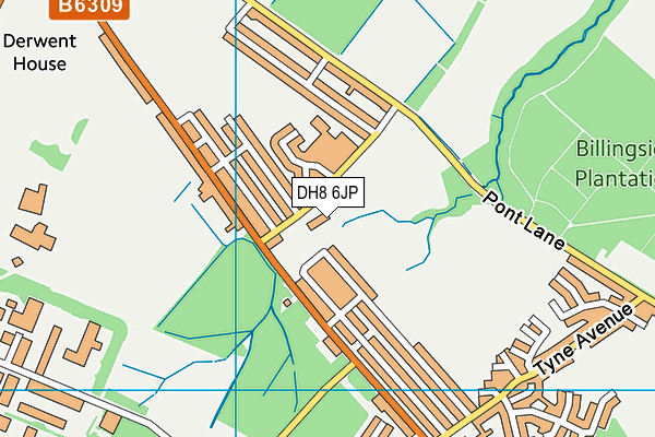 DH8 6JP map - OS VectorMap District (Ordnance Survey)