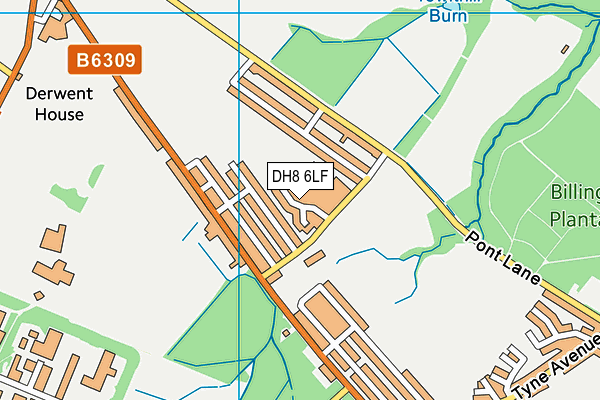 DH8 6LF map - OS VectorMap District (Ordnance Survey)