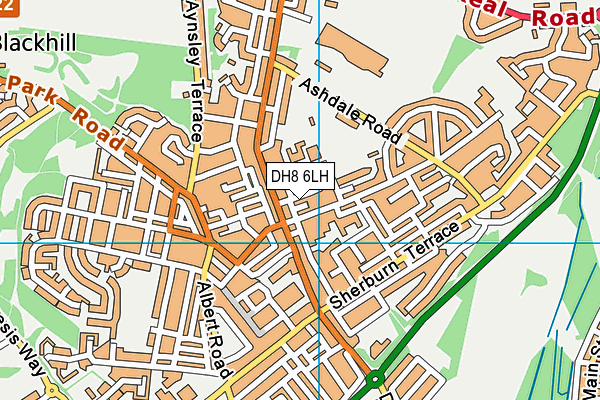 DH8 6LH map - OS VectorMap District (Ordnance Survey)