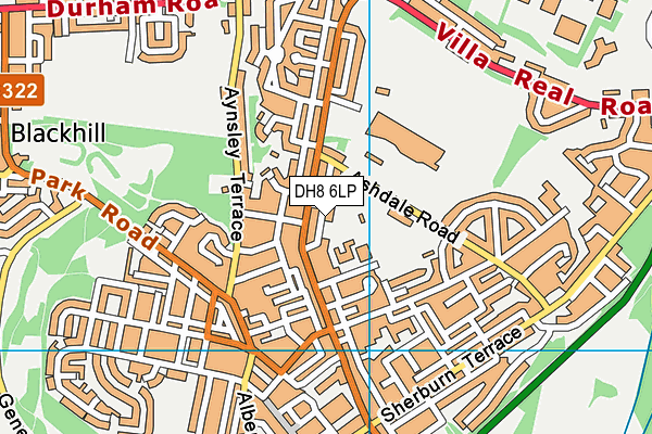 DH8 6LP map - OS VectorMap District (Ordnance Survey)