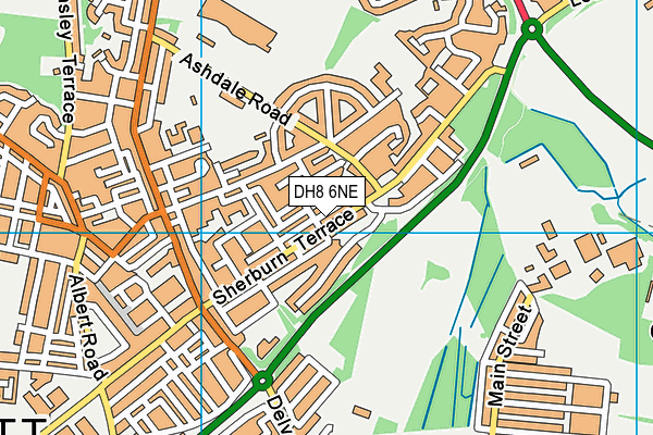 DH8 6NE map - OS VectorMap District (Ordnance Survey)