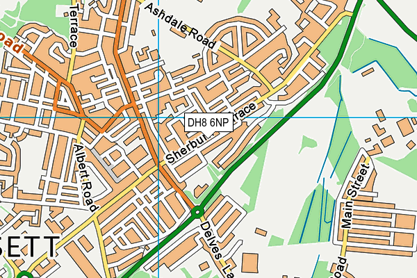 DH8 6NP map - OS VectorMap District (Ordnance Survey)