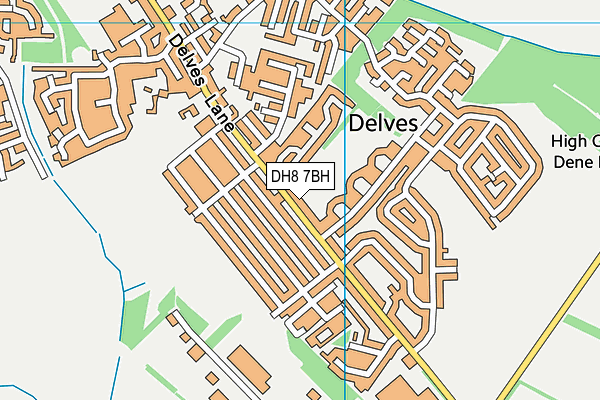Delves Lane map (DH8 7BH) - OS VectorMap District (Ordnance Survey)