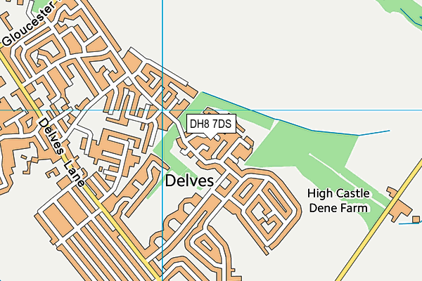 DH8 7DS map - OS VectorMap District (Ordnance Survey)