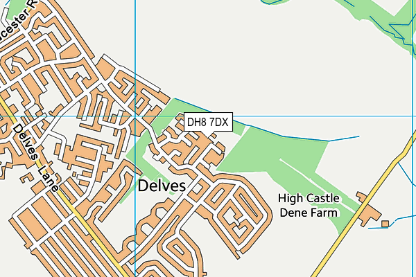 DH8 7DX map - OS VectorMap District (Ordnance Survey)