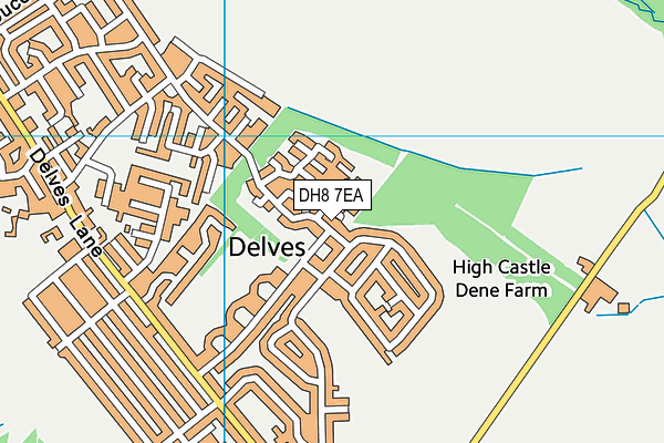 DH8 7EA map - OS VectorMap District (Ordnance Survey)