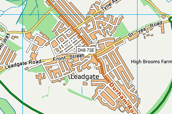 DH8 7SE map - OS VectorMap District (Ordnance Survey)
