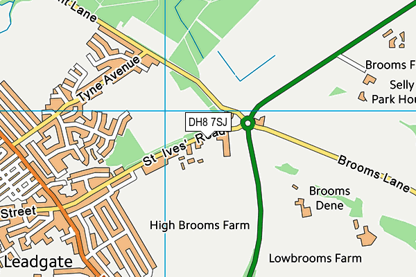 DH8 7SJ map - OS VectorMap District (Ordnance Survey)