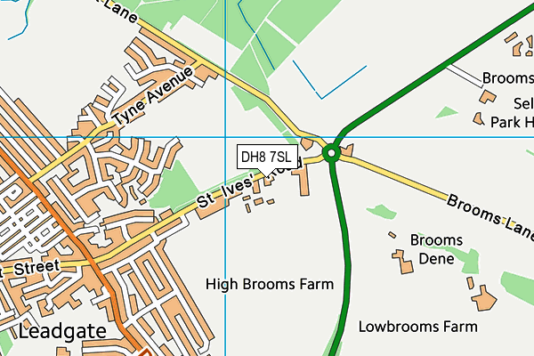 DH8 7SL map - OS VectorMap District (Ordnance Survey)
