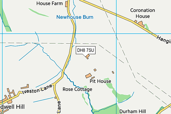 DH8 7SU map - OS VectorMap District (Ordnance Survey)