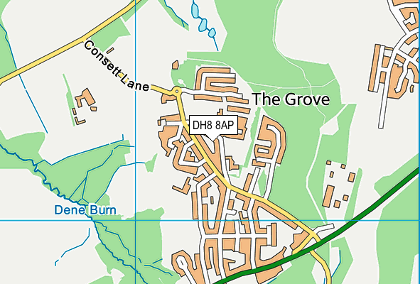 The Grove Primary School map (DH8 8AP) - OS VectorMap District (Ordnance Survey)