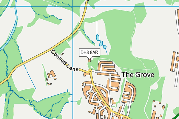 DH8 8AR map - OS VectorMap District (Ordnance Survey)