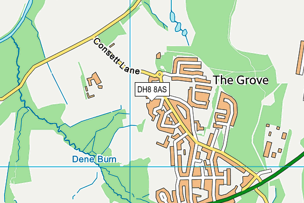 DH8 8AS map - OS VectorMap District (Ordnance Survey)