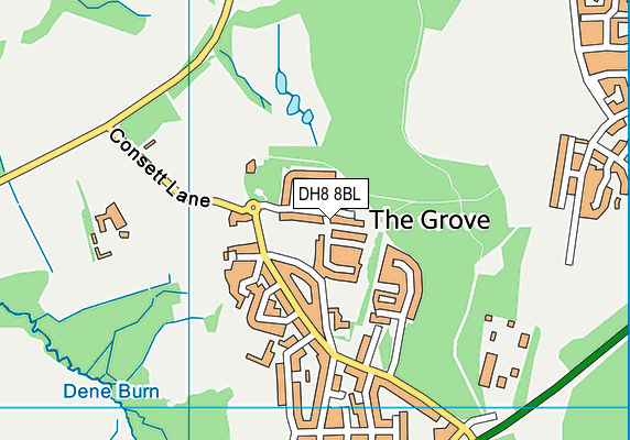 DH8 8BL map - OS VectorMap District (Ordnance Survey)