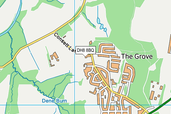 DH8 8BQ map - OS VectorMap District (Ordnance Survey)