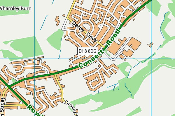 DH8 8DG map - OS VectorMap District (Ordnance Survey)
