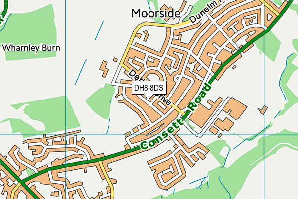 DH8 8DS map - OS VectorMap District (Ordnance Survey)