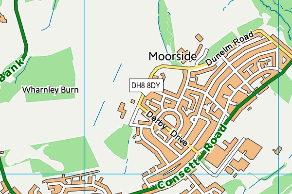 DH8 8DY map - OS VectorMap District (Ordnance Survey)