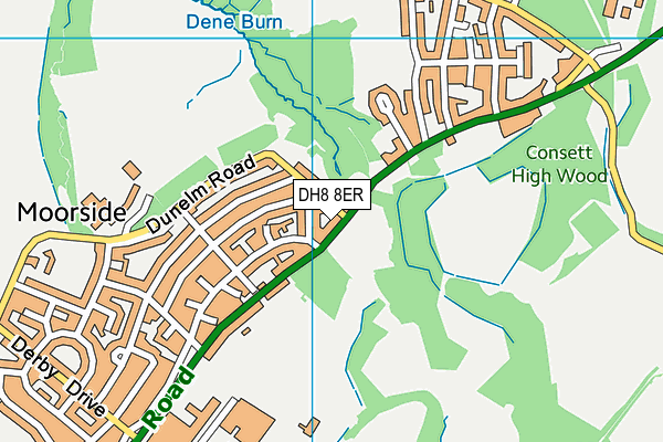 DH8 8ER map - OS VectorMap District (Ordnance Survey)