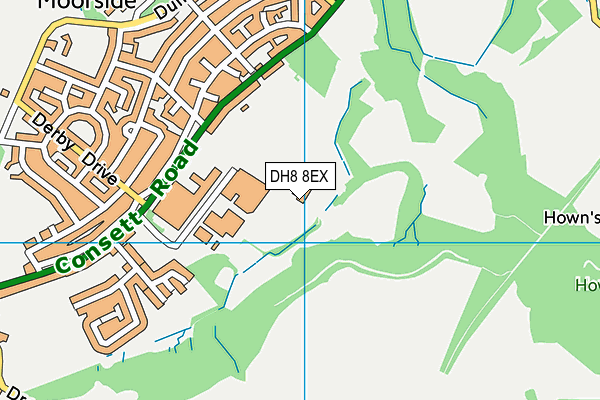 DH8 8EX map - OS VectorMap District (Ordnance Survey)