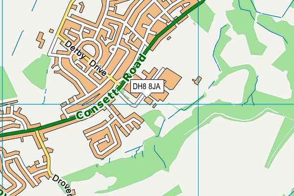 DH8 8JA map - OS VectorMap District (Ordnance Survey)