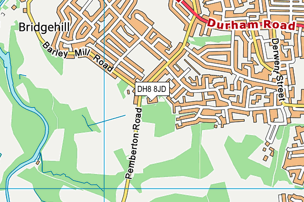 DH8 8JD map - OS VectorMap District (Ordnance Survey)