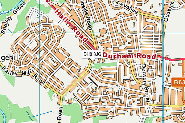 DH8 8JG map - OS VectorMap District (Ordnance Survey)