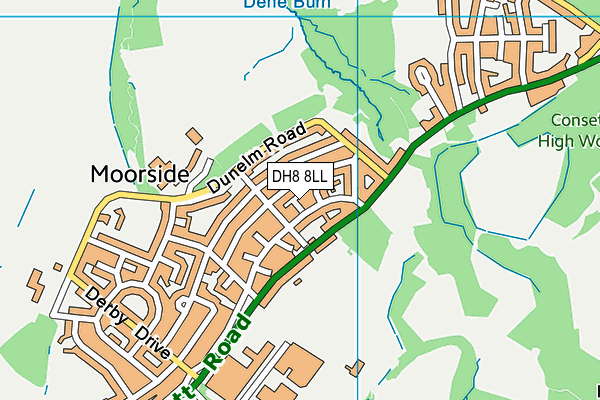 DH8 8LL map - OS VectorMap District (Ordnance Survey)