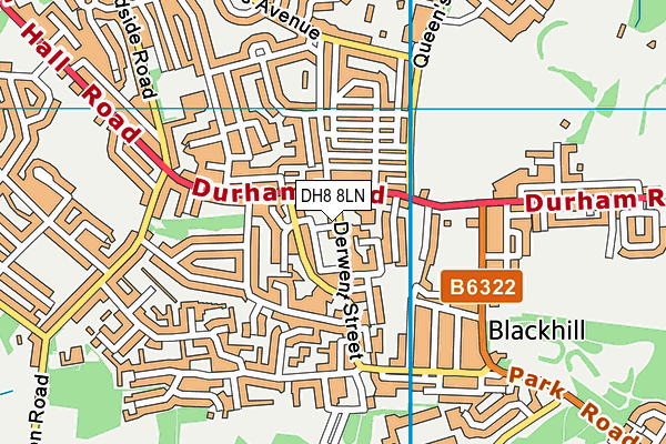 DH8 8LN map - OS VectorMap District (Ordnance Survey)