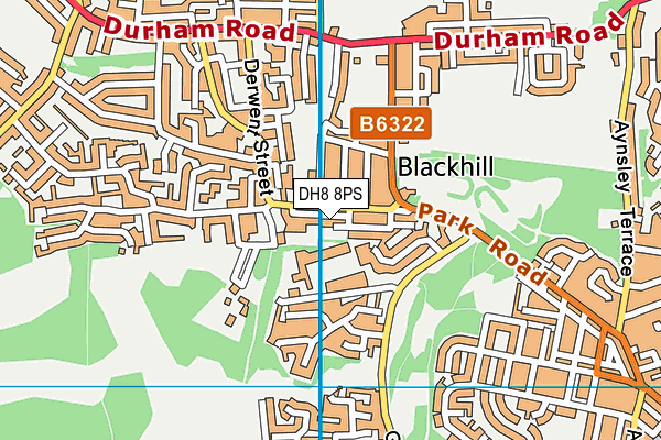 DH8 8PS map - OS VectorMap District (Ordnance Survey)