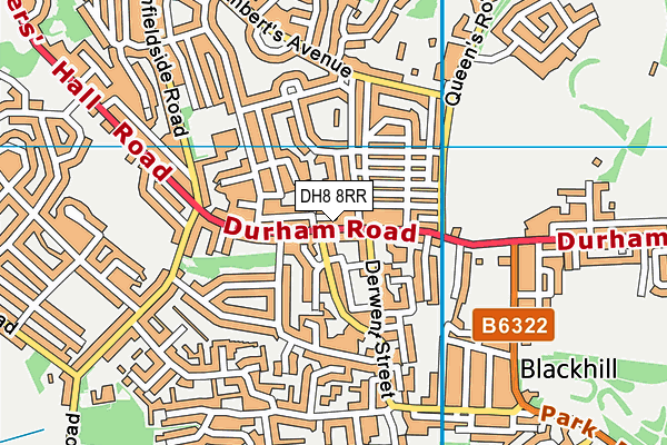 DH8 8RR map - OS VectorMap District (Ordnance Survey)