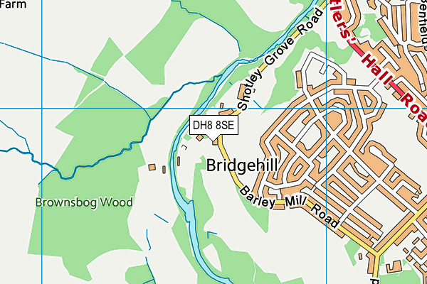 DH8 8SE map - OS VectorMap District (Ordnance Survey)