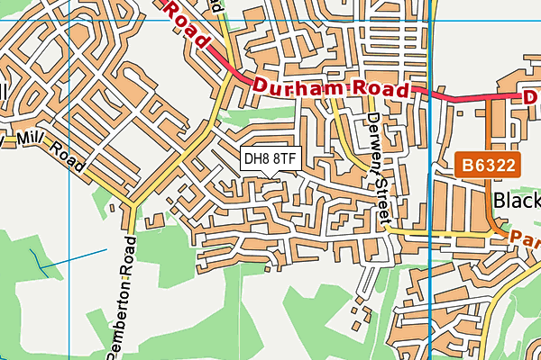 DH8 8TF map - OS VectorMap District (Ordnance Survey)