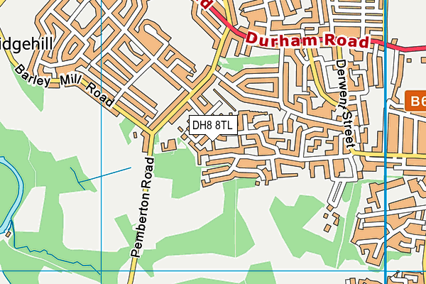 DH8 8TL map - OS VectorMap District (Ordnance Survey)
