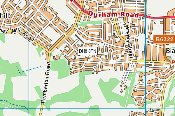 DH8 8TN map - OS VectorMap District (Ordnance Survey)